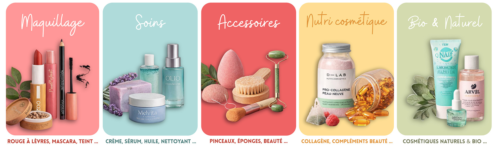 J'explore le contenu d'une biobox