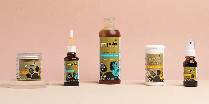 coffret limité biobox